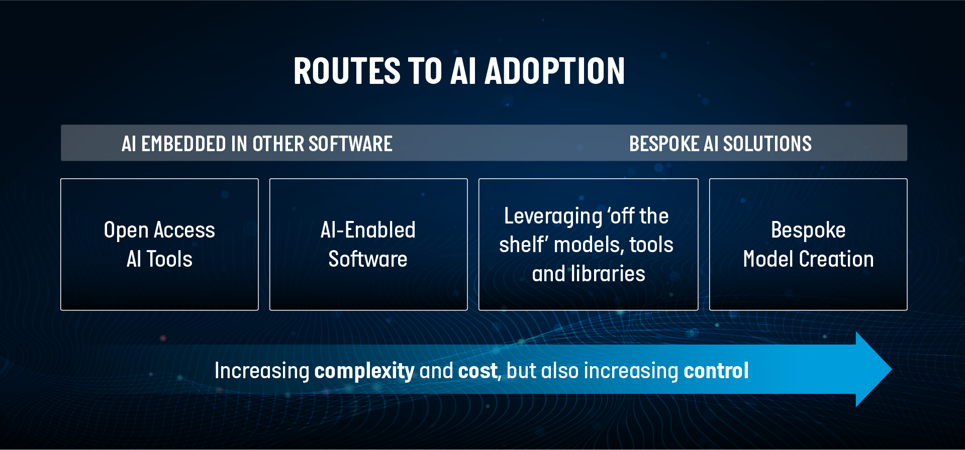 Routes to AI Adoption graphic